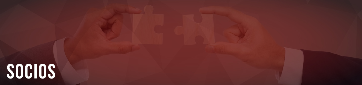 All Stars Motorsport