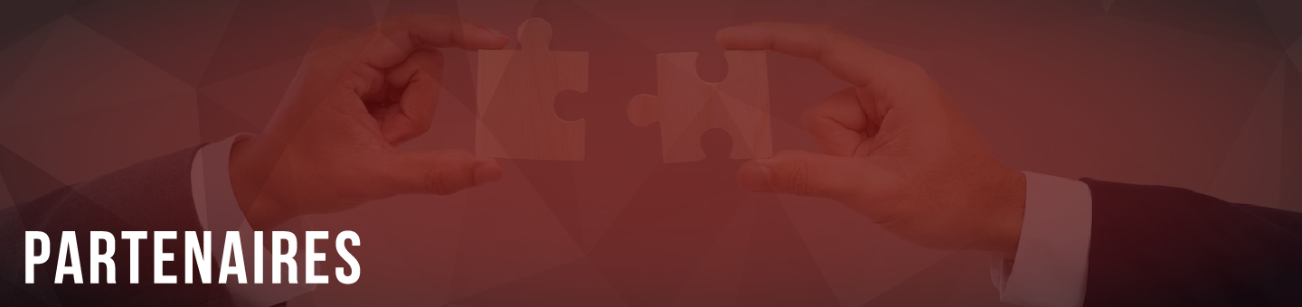 All Stars Motorsport